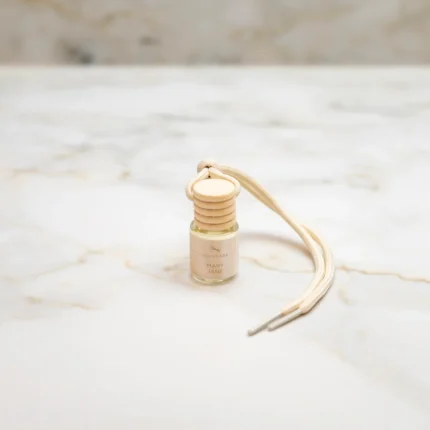 car-diffuser-mary-jane-450033-projectcandle-1